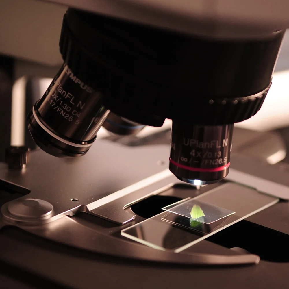 تعلن الرابطة عن عدد من المحاضرات الثقافية واللقاءات العلمية باستضافة نخبة من الأكاديميين الجامعيين.